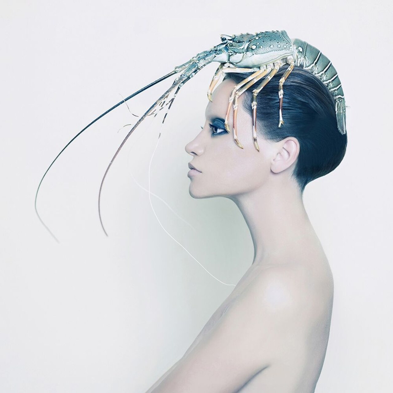 The Lady And The Hummer Poster Print by Incado - Item # VARPDXINHC106